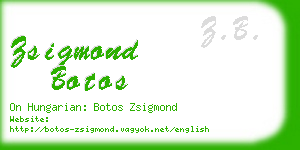 zsigmond botos business card